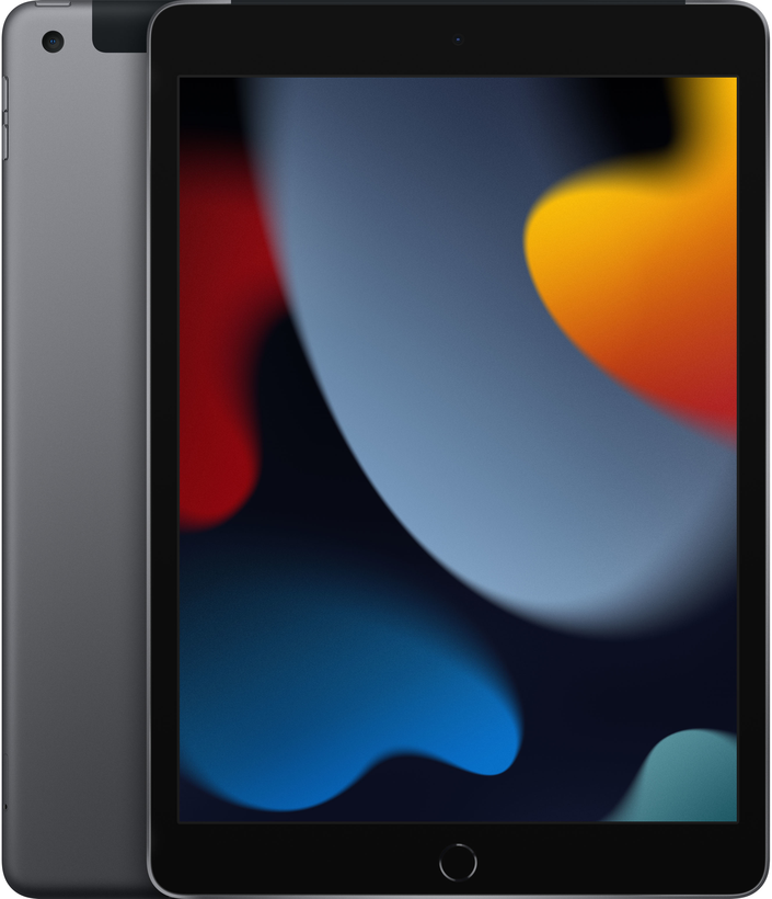 Apple iPad 10.2 9.Gen LTE 256 GB grau