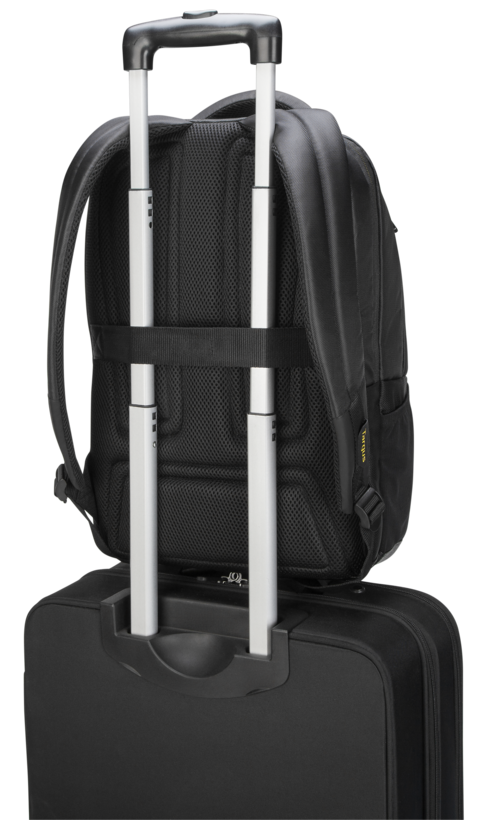 Mochila Targus CityGear 43,9 cm (17,3")