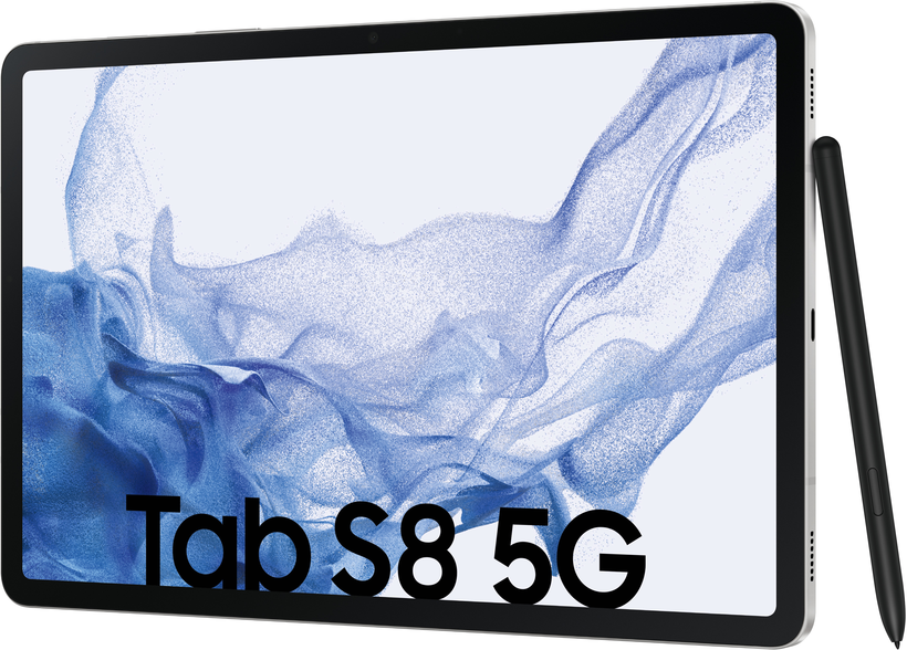 Samsung Galaxy Tab S8 11 5G silber
