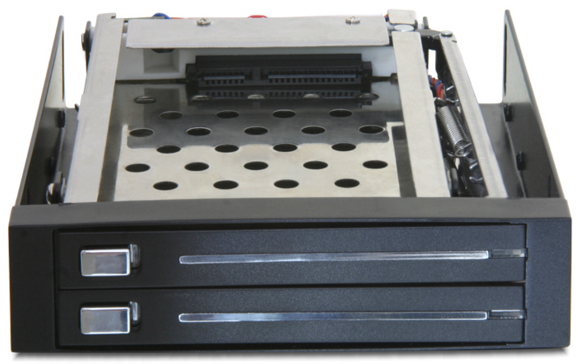 Delock 2x SATA Wechselrahmen