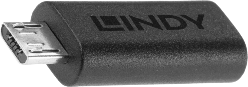 LINDY USB Type-C - Micro B Adapter
