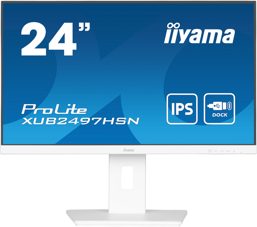 iiyama ProLite XUB2497HSN-W1 Monitor