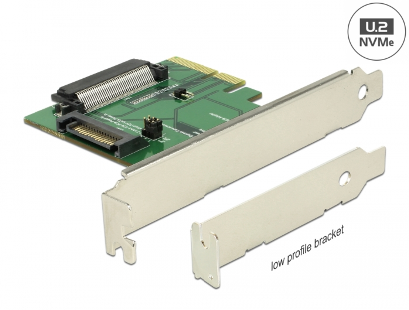 Delock PCIe x4 > U.2 NVMe Interface