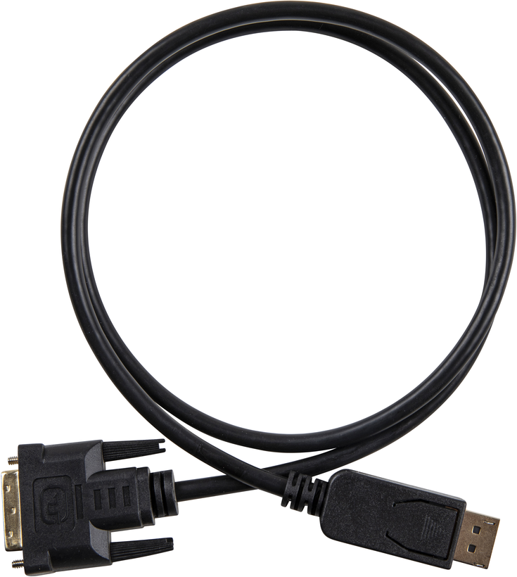 DisplayPort-DVI Cable 1.8 m