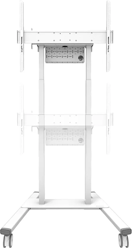 Neomounts FL55-875WH1 Rollständer