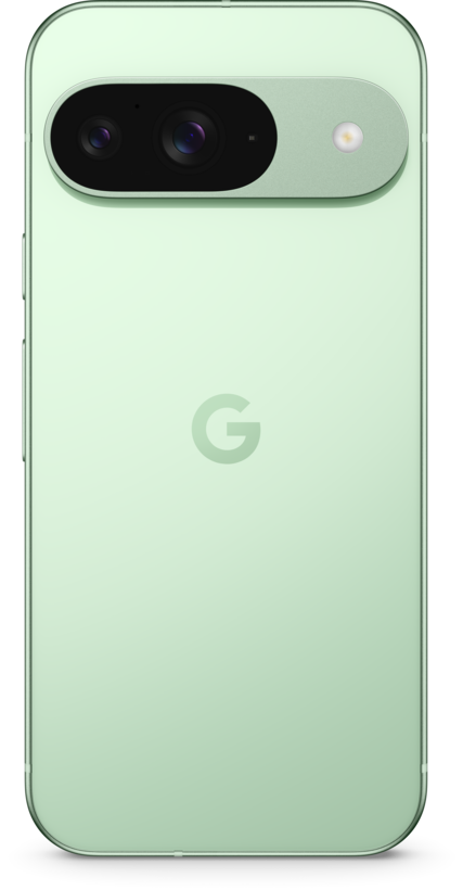 Google Pixel 9 256 Go vert amande