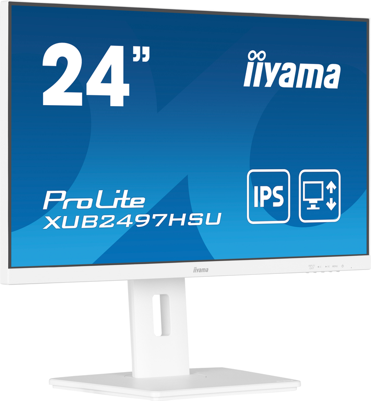 iiyama ProLite XUB2497HSU-W2 Monitor