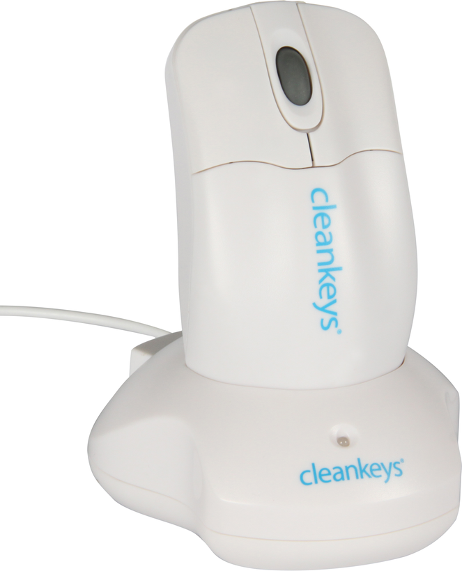 GETT Cleankeys CKM2W Wireless Mouse