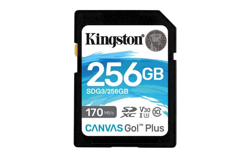 Kingston Canvas Go! Plus SD Card 256GB