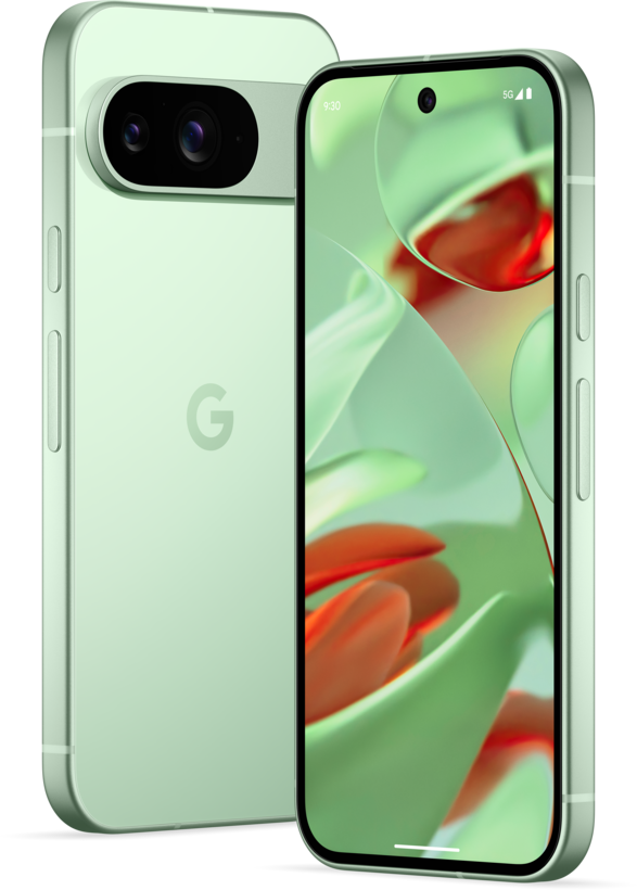 Google Pixel 9 256GB Wintergreen