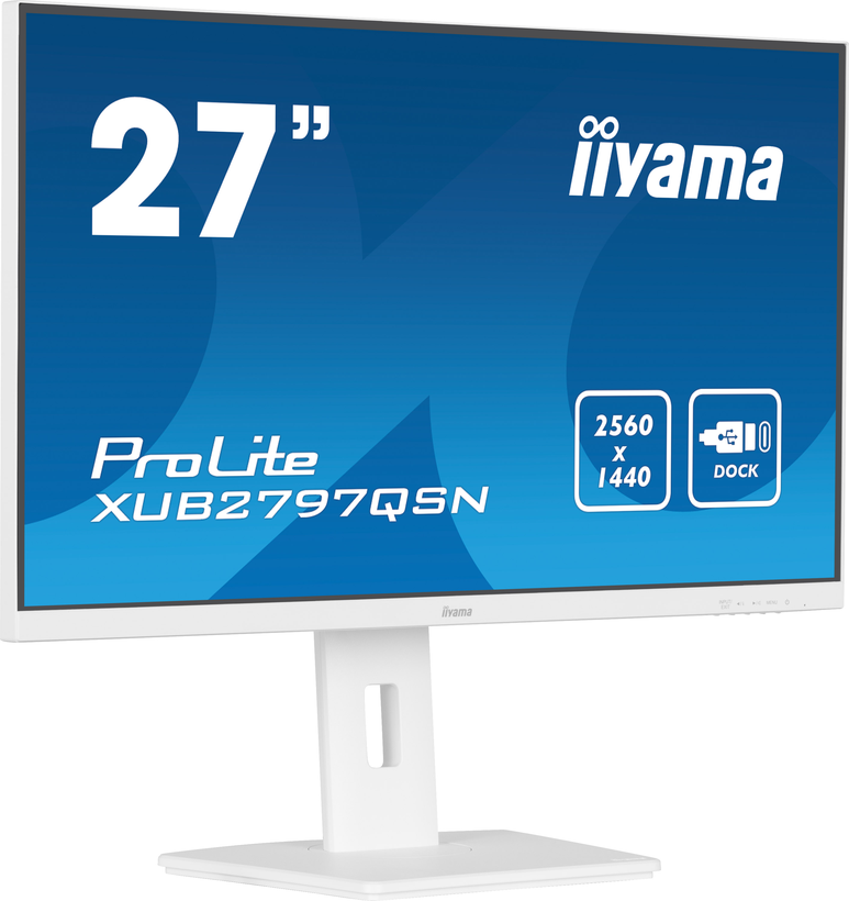 Monitor iiyama ProLite XUB2797QSN-W1