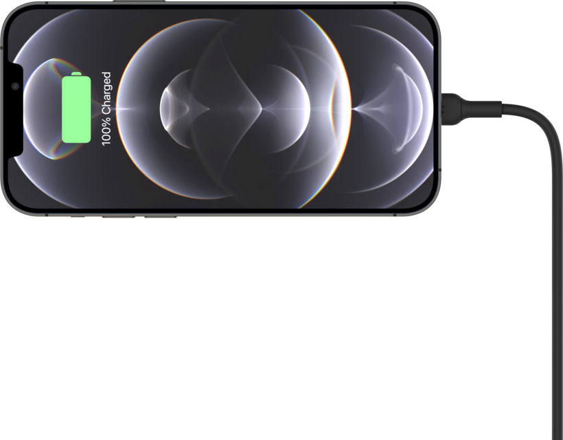 Belkin iPhone 12/13 Magnet Kfz-Halterung