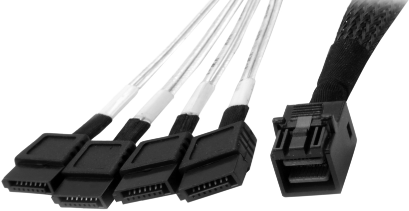 Cable SAS interno SFF8643 - 4 x SATA 1 m