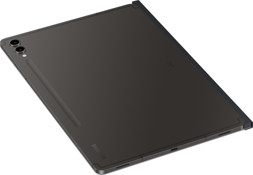 Samsung Galaxy Tab S10+/S9+ Blickschutz