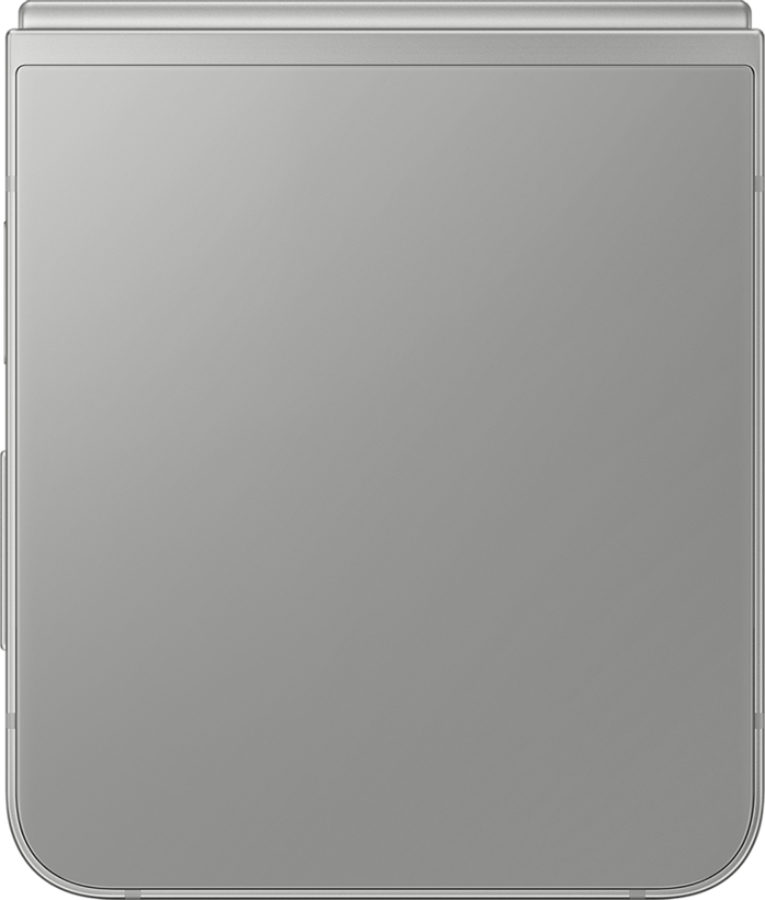 Samsung Galaxy Z Flip6 256 Go, gris