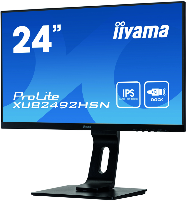 iiyama ProLite XUB2492HSN-B1 Monitor