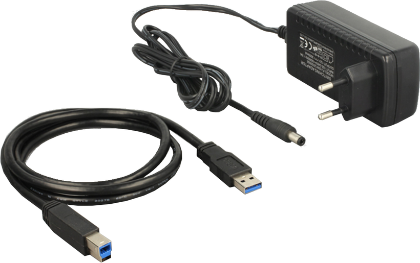 Delock USB 3.0 SATA Docking/Klon Station