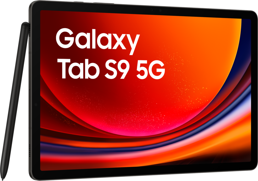 Samsung Galaxy Tab S9 5G 128Go, graphite