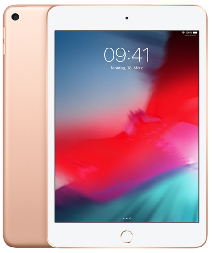 Buy Apple iPad mini 5 WiFi 256GB Gold (MUU62TY/A)