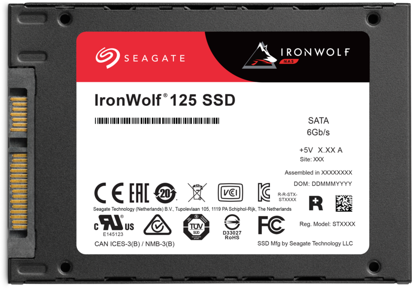 SSD 1 To Seagate IronWolf 125 NAS