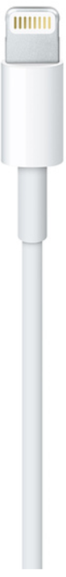 Câble Apple Lightning - USB A, 1 m