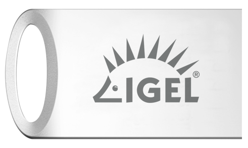 IGEL Work from Home Kit