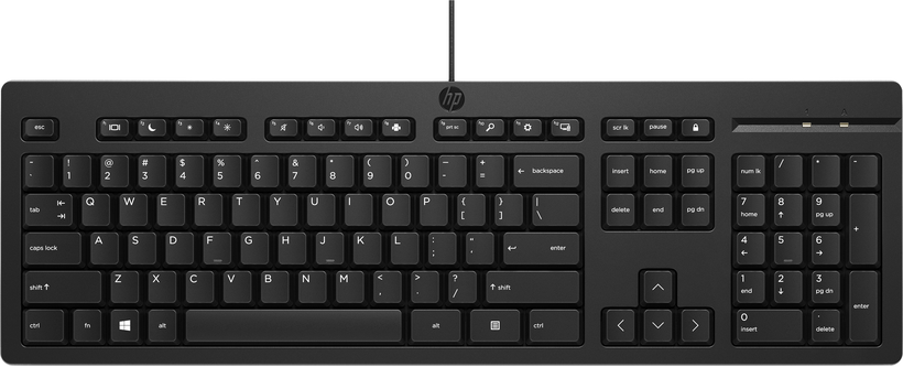 HP USB 125 Tastatur