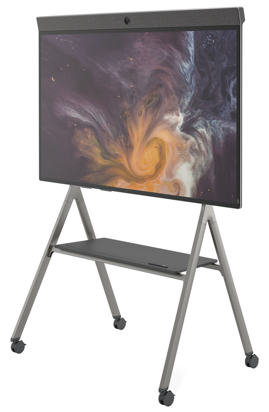 NEAT Board Rollständer