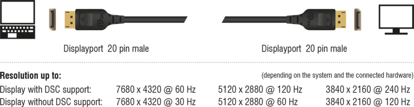 Delock DisplayPort kábel 2 m