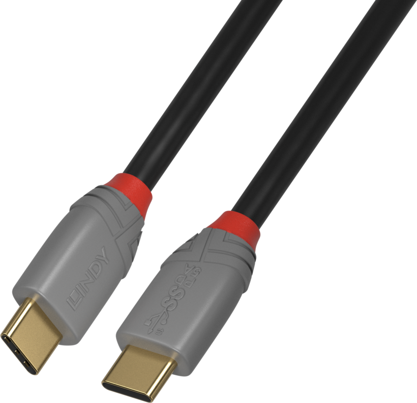 LINDY USB Typ C Kabel 0,5 m
