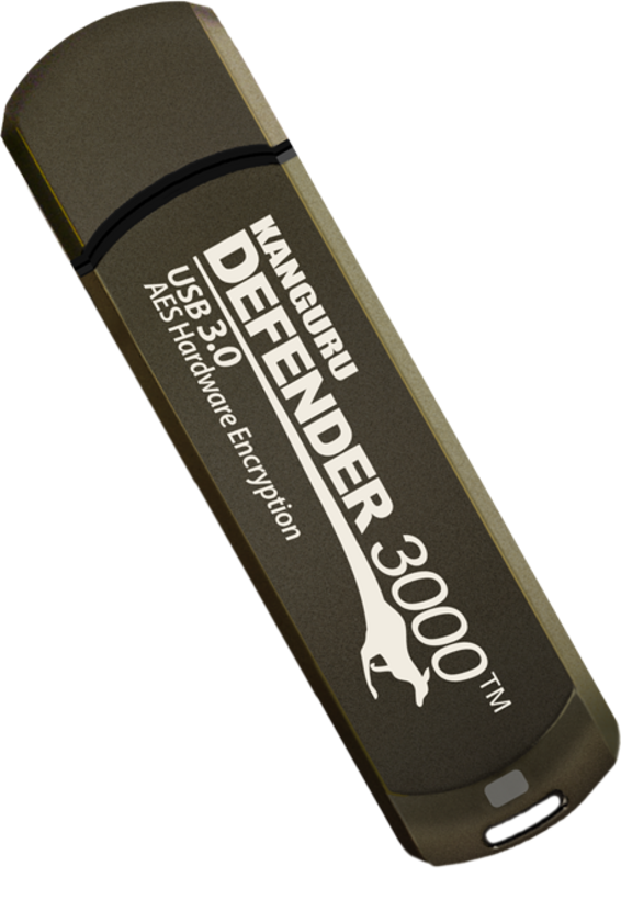 Chiavetta USB 128 GB Defender 3000