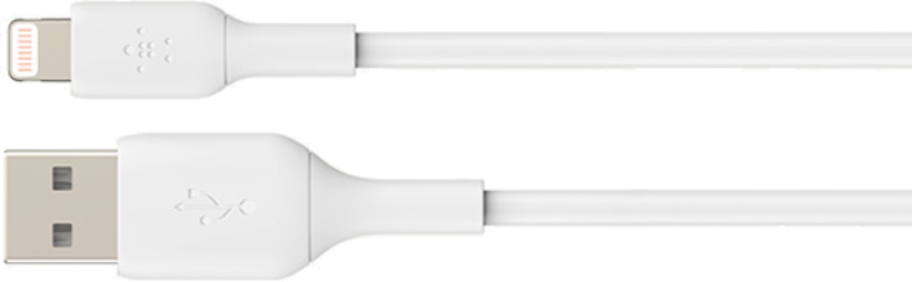 Belkin USB Typ A-Lightning Kabel 0,15 m