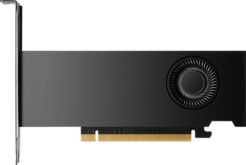 PNY NVIDIA RTX 2000 ADA Graphics Card