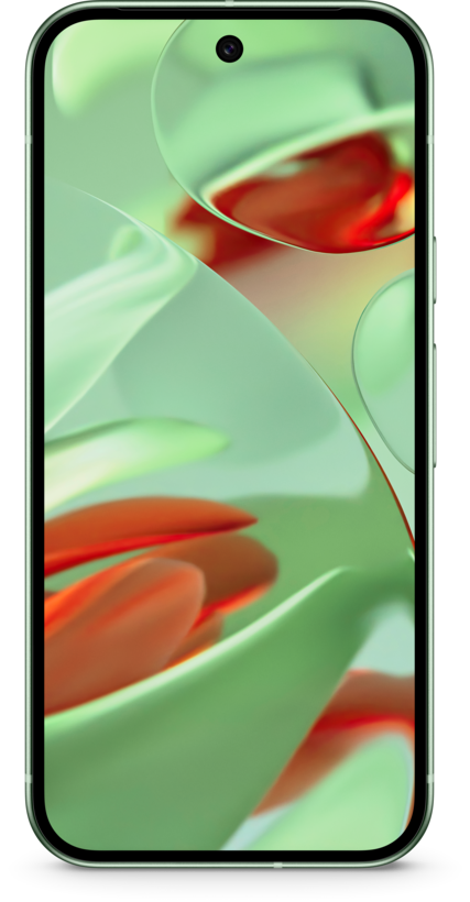 Google Pixel 9 128GB Wintergreen