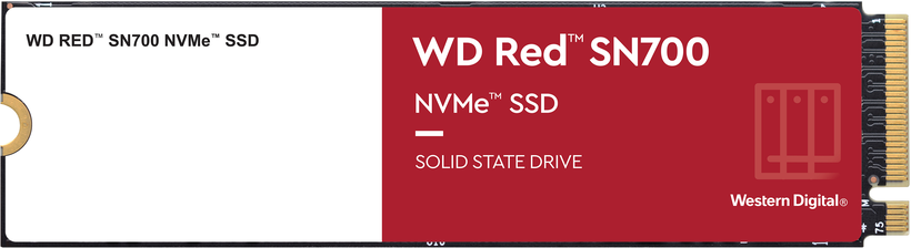 SSD 250 Go WD Red SN700