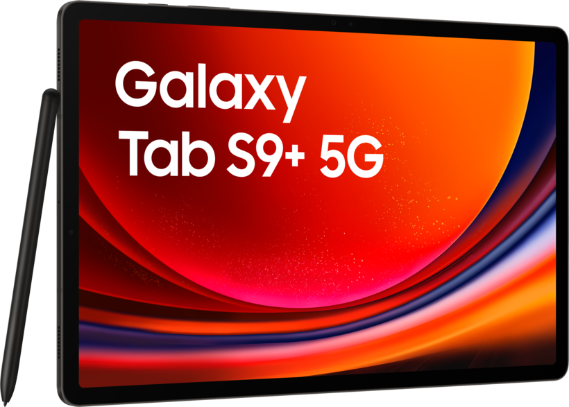 Samsung Galaxy Tab S9+ 5G 512Go graphite