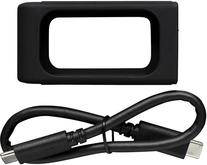 Kingston XS2000 1 TB SSD (SXS2000/1000G) kaufen