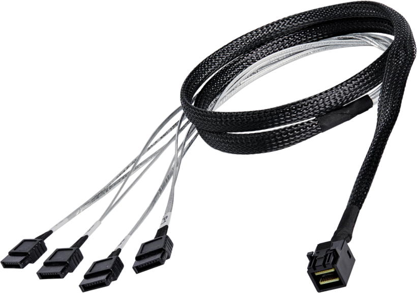 Cable SAS interno SFF8643 - 4 x SATA 1 m