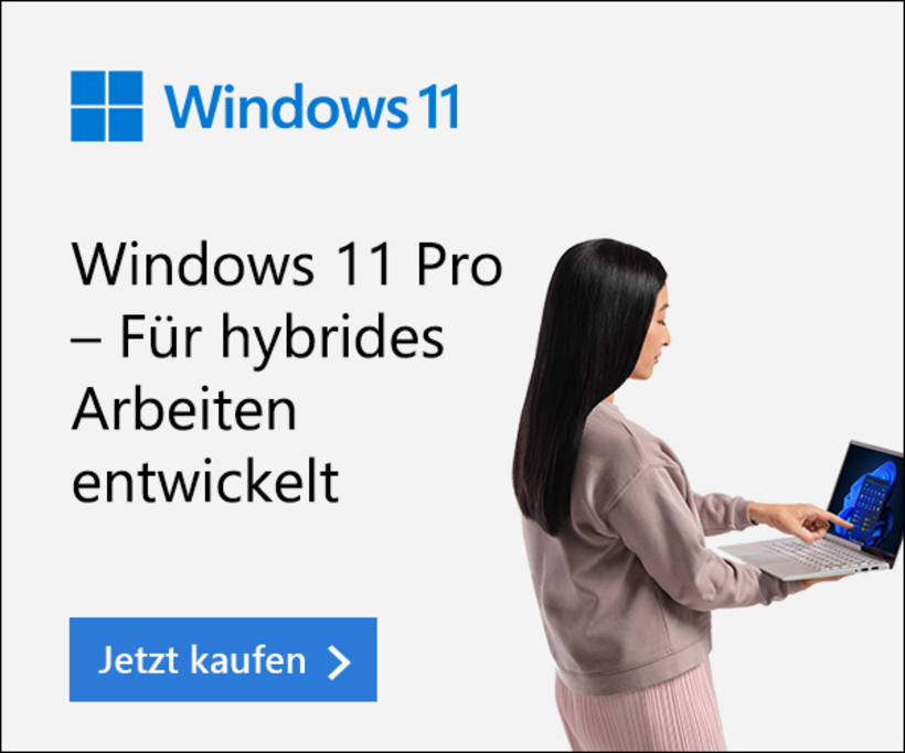 Microsoft Windows 11 Professional 1 License USB
