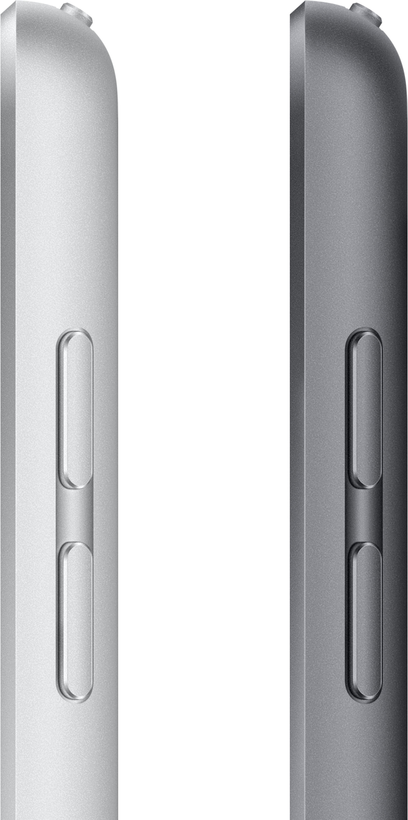 Apple iPad 10.2 9e gén LTE/4G 256Go gris