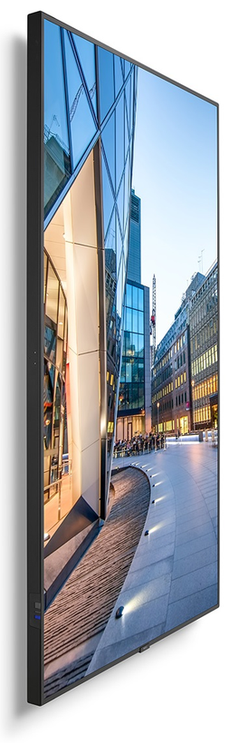 Pantalla NEC MultiSync C981Q