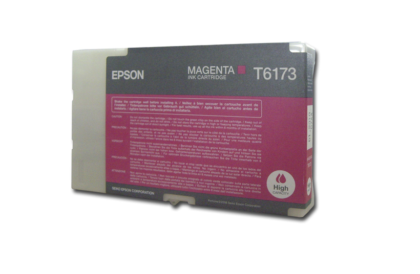 Epson T6173 Ink Magenta