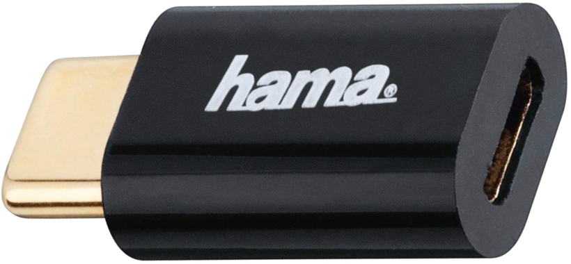 Adaptateur Hama USB type C - microB