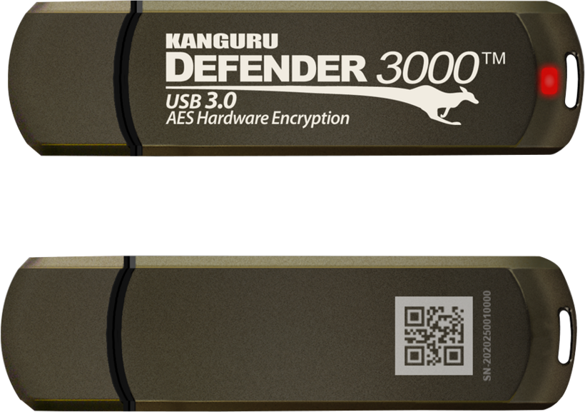 Chiavetta USB 128 GB Defender 3000