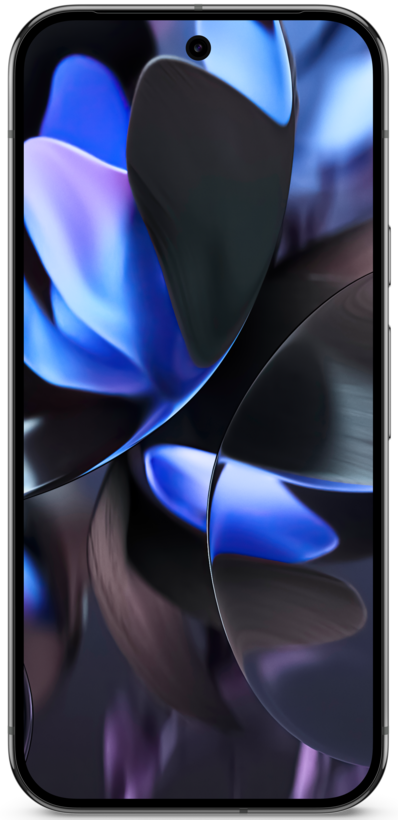 Google Pixel 9 Pro 256 GB obsidian