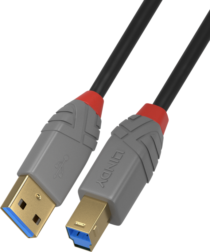 LINDY USB-A to USB-B Cable 1m