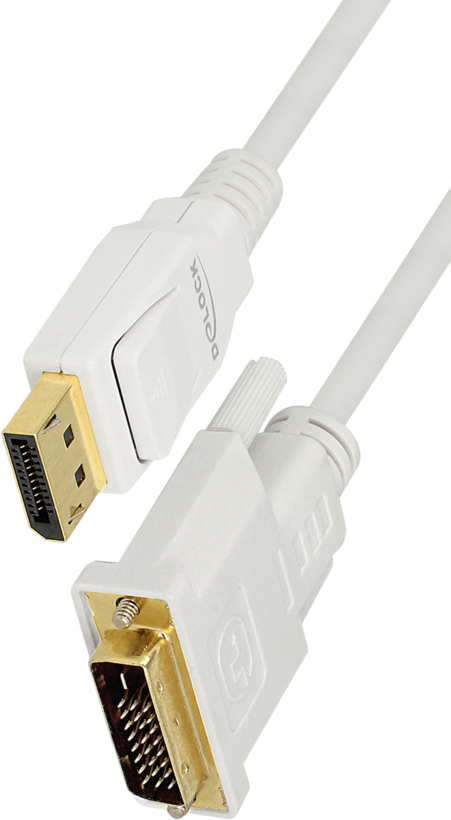 Câble Delock DisplayPort - DVI-D, 2 m