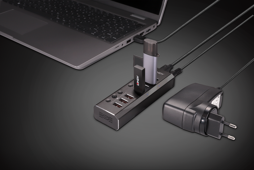 LINDY USB Hub 3.0 7-Port + Schalter
