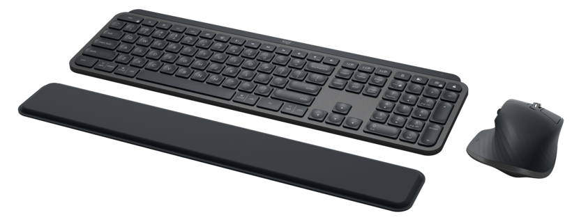 Logitech MX Tastatur und Maus Set f.B.