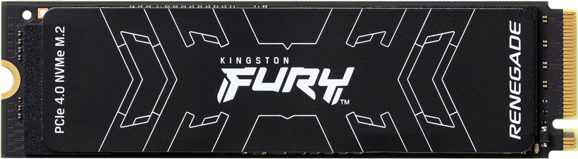 SSD Kingston FURY Renegade 2 TB